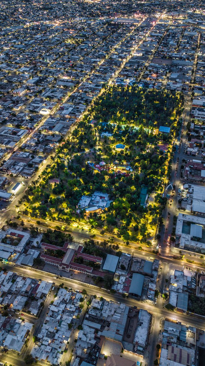 armandoDLP's tweet photo. Bosque Venustiano Carranza, 2020 https://t.co/rdutFzlded