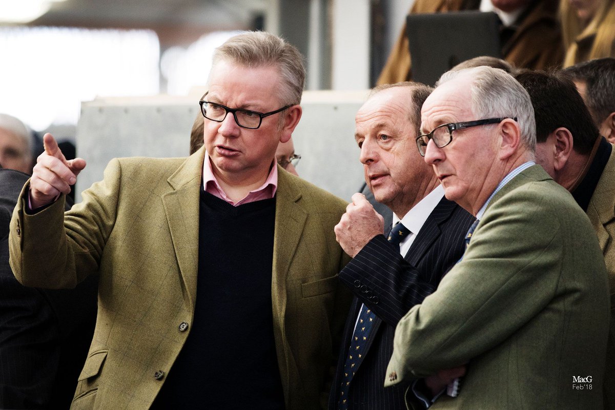 AberdeenAngusUK's tweet photo. #CaptionFriday 📸
Comment below with your best caption for this picture! 🤔 @unitedauctions @michaelgove
#AberdeenAngus #Breed #Brand #British #Beef #NativeBreeds #CaptionFriday #UnitedAuctions #BullSales #Agriculture #Farming #BritishFarming #ScottishFarming #Farm365 https://t.co/ICLqfRRReu