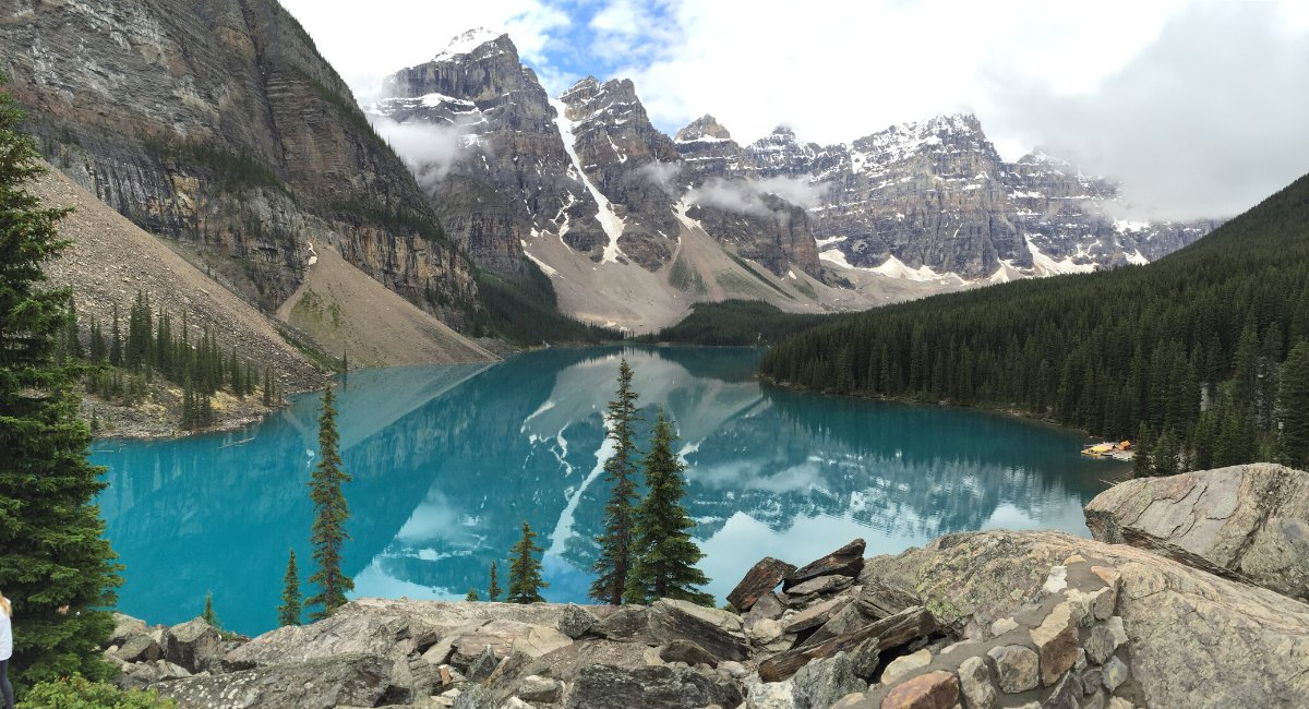 UNBiodiversity's tweet photo. 🇨🇦Congratulations, #Canada! 🇨🇦
We welcome our host country's commitment to protect an additional 25,000 km² of #marine area as an important step toward achieving #SDG 14 & #AichiTarget 11. 🦀🐳
Learn more about their national #conservation targets ⬇️
https://t.co/ImALSluyR2 https://t.co/AVDlPDYw7j