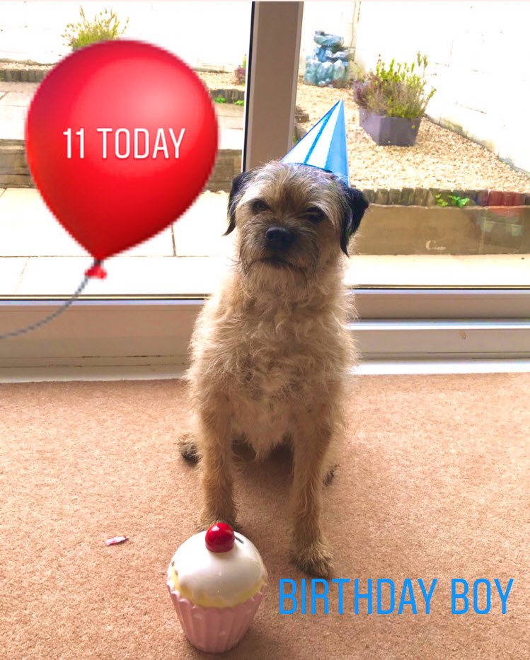 RuftopAdventure's tweet photo. Hey pals, it’s my birthday today. 

#HappyBirthdayToMe #btposse https://t.co/MEqA4nqVOC
