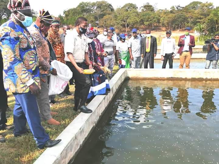 Fish Farming is something I'm passionate about, hence, I was happy we launched the $6m #Aquaculture #SeedFund #Youth #Empowerment Initiative under the #Zambia Aquaculture Enterprise Development project yesterday. #PovertyReduction #fishfarming