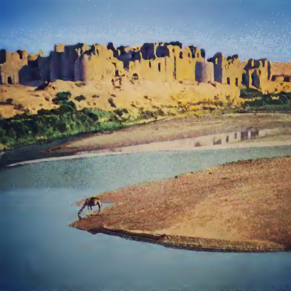 islamicArtandA's tweet photo. Lashkari Bazar was built in 11th century by the Ghaznavids, Sultan Mahmud & his son Mesud I.
#lashkaribazar #ghaznavids #sultanmahmud #helmend #afghanistan #islamicarchitecture #islamicart #هنراسلامی #لشکری_بازار #هلمند #أفغانستان #غزنویان https://t.co/laveVwHnBZ