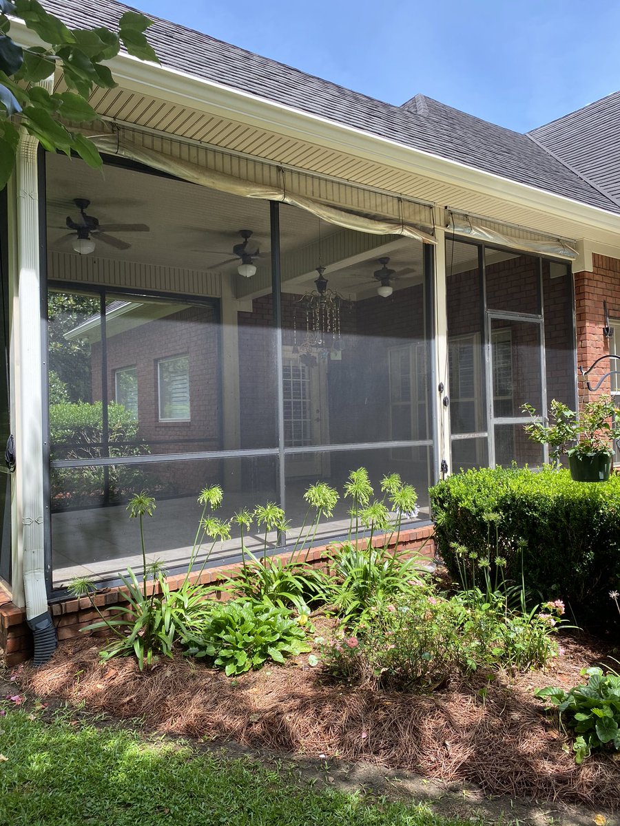 EyeDoWindows's tweet image. It’s the perfect time to get your outdoor set up clean for playing in the pool 🏊, eating watermelon 🍉 , soaking up some sun☀️,and sippin on a cold drink🍹on a hot day! With our soft wash, screens will not be damaged and your favorite outdoor spot will be clean! 
☎️251.609.2076