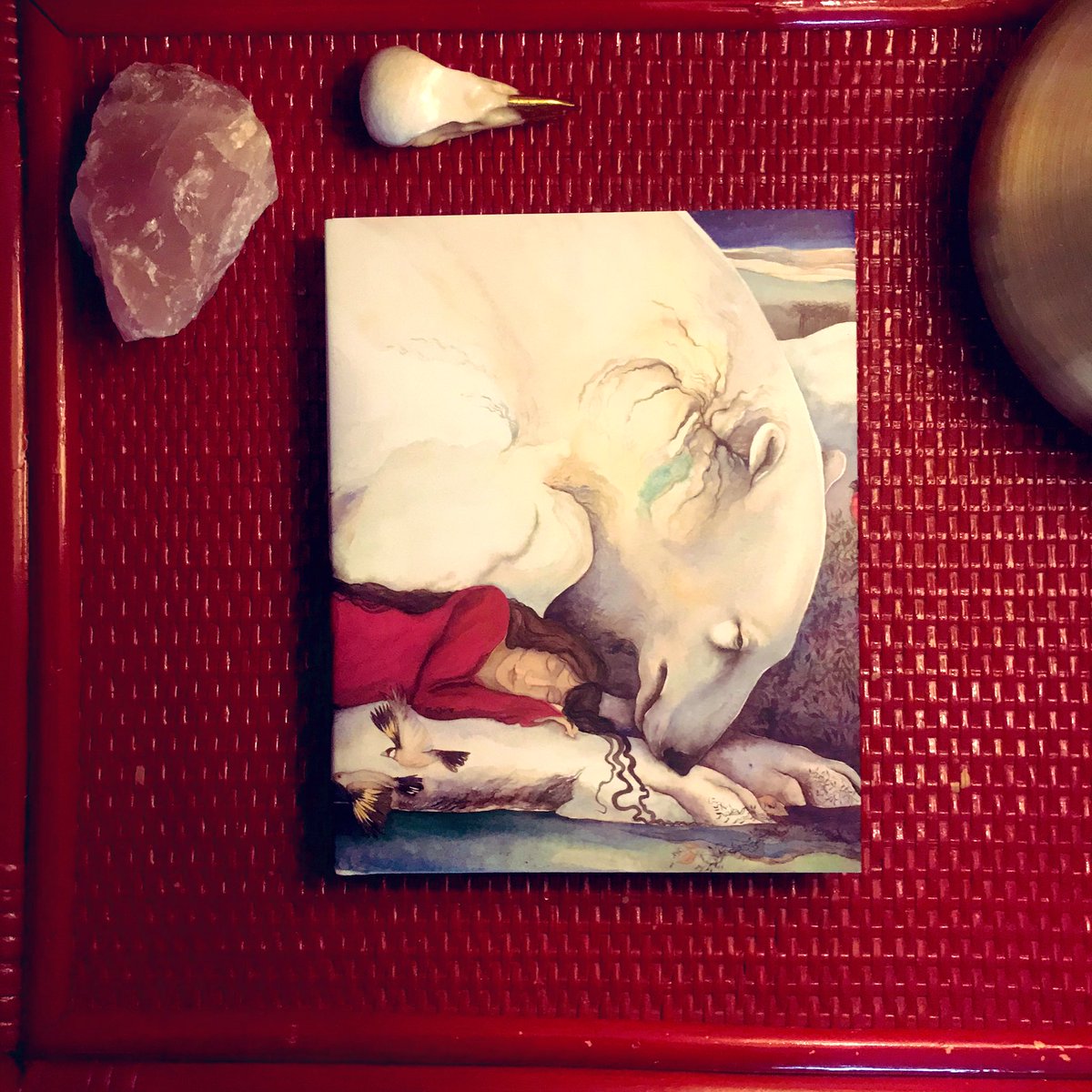 Lizzie Kaye tweet media