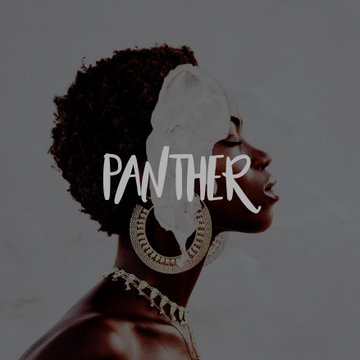 ㅤ   ㅤ   ㅤ   ㅤ ʙʟᴀᴄᴋ ᴘᴀɴᴛʜᴇʀ. 
  ㅤ   ㅤ   ㅤ   ━━━━━━━━━
  ㅤ   ㅤ   ㅤ ꜱᴇ ʙᴜꜱᴄᴀɴ ɪɴᴛᴇɢʀᴀɴᴛᴇꜱ. 

  ㅤ   ㅤ   ㅤ ⿻ Entre 18-35 años.
  ㅤ   ㅤ   ㅤ ⿻ Grupo social y manifestante. 

  ㅤ   ㅤ   ㅤ ʀᴛ ᴘᴀʀᴀ ᴅɪꜰᴜɴᴅɪʀ.
  ㅤ   ㅤ   ㅤ   ㅤ   ㅤ