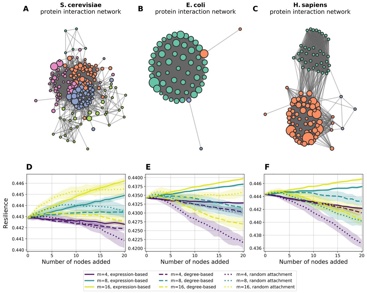 So! We simulate a bunch of new nodes being added to a few different ribosomal protein networks under three different node-attachment mechanisms- uniformly at random- degree-based preferential attachment- *gene-expression-based* pref. attach./4