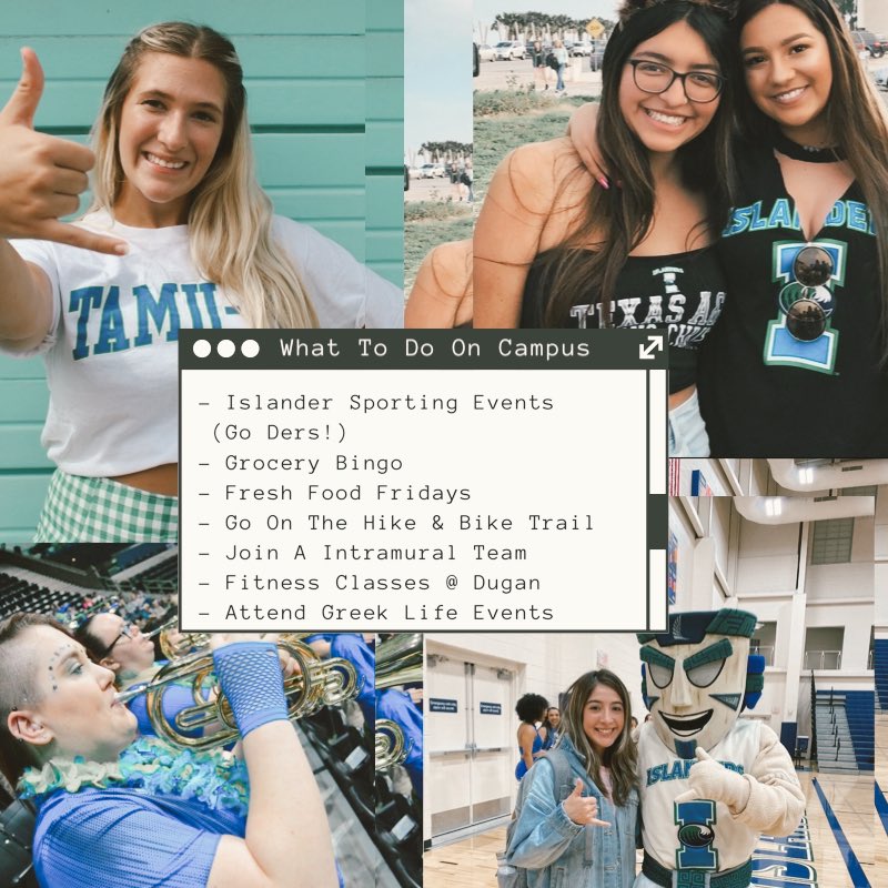 tamuccgphi's tweet photo. Dear Future Islanders,⁣⁣
⁣⁣
Welcome to the Island University! 🤍 We hope we can make this transition a little bit easier for you with our guide to TAMUCC. We can’t wait to see you in August! 🏝✨⁣

Don’t forget to sign up for recruitment! 
⁣
#futureislander #gotamuccgphi https://t.co/9iGPVq8wCt