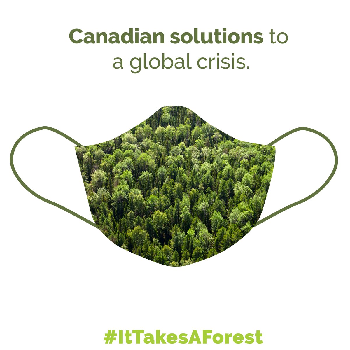 ItTakesAForest's tweet photo. Today we’re thinking about all of the essential &amp; innovative products supplied by Canada’s #forestsector during the #COVID19 #pandemic. From sanitary wipes to biodegradable #N95 masks being developed by @UBC, our forests have you covered. #ItTakesAForest https://t.co/4BNn2TG7JV https://t.co/Mf5QRKzNV3