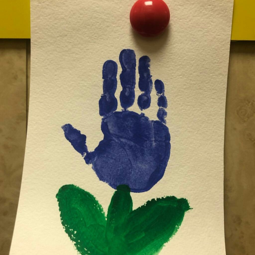 🎨🌱