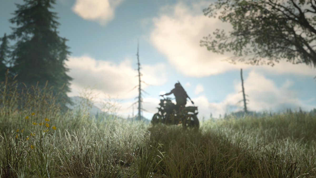 PrincipeGamer_'s tweet photo. Some of my personal #FavoriteShots from #DaysGone #PhotoMode #VPDaysGone #TheBrokenRoad 🏍️🛤️ https://t.co/IZy99nsJMP
