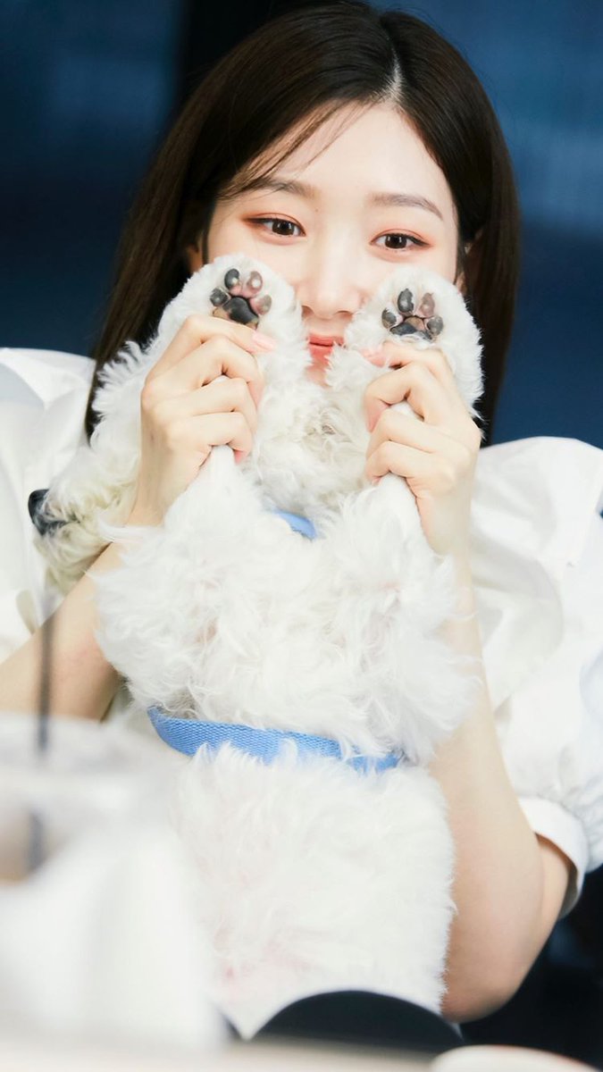 jchaeyeonglobal's tweet photo. [CHAESTAGRAM] 200704 #Chaeyeon's Instagram Stories Update

#DIA #다이아 #정채연 #채연 https://t.co/DKCslqsLUs