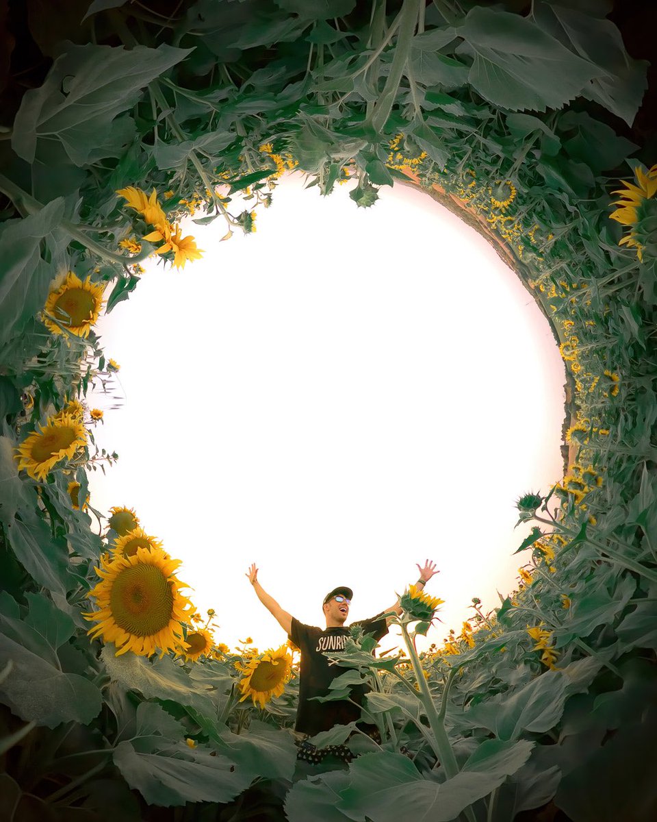 Luca Franca tweet media