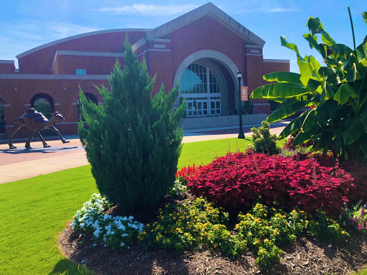 Campbell Athletics tweet media