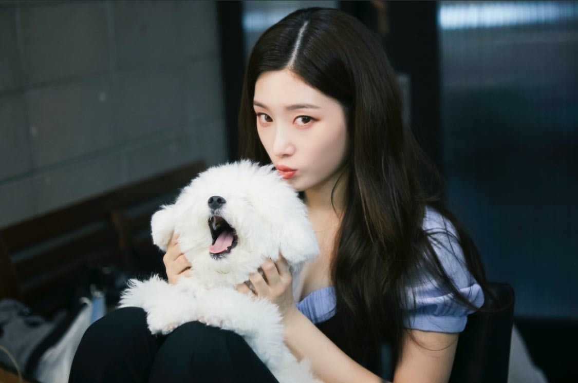 jchaeyeonbr's tweet photo. [CHAESTAGRAM] 03.07.20 - Atualização da #Chaeyeon no seu Insta Story com os bastidores da Avene Korea! 

#다이아 #DIA #정채연 #채연 https://t.co/wxolnqX1Hn