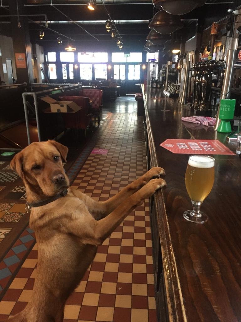 Bohemia_N12's tweet photo. Is it 5pm on Monday yet boss?

#TheBohemiaIsBack https://t.co/xcvMlX1dnL