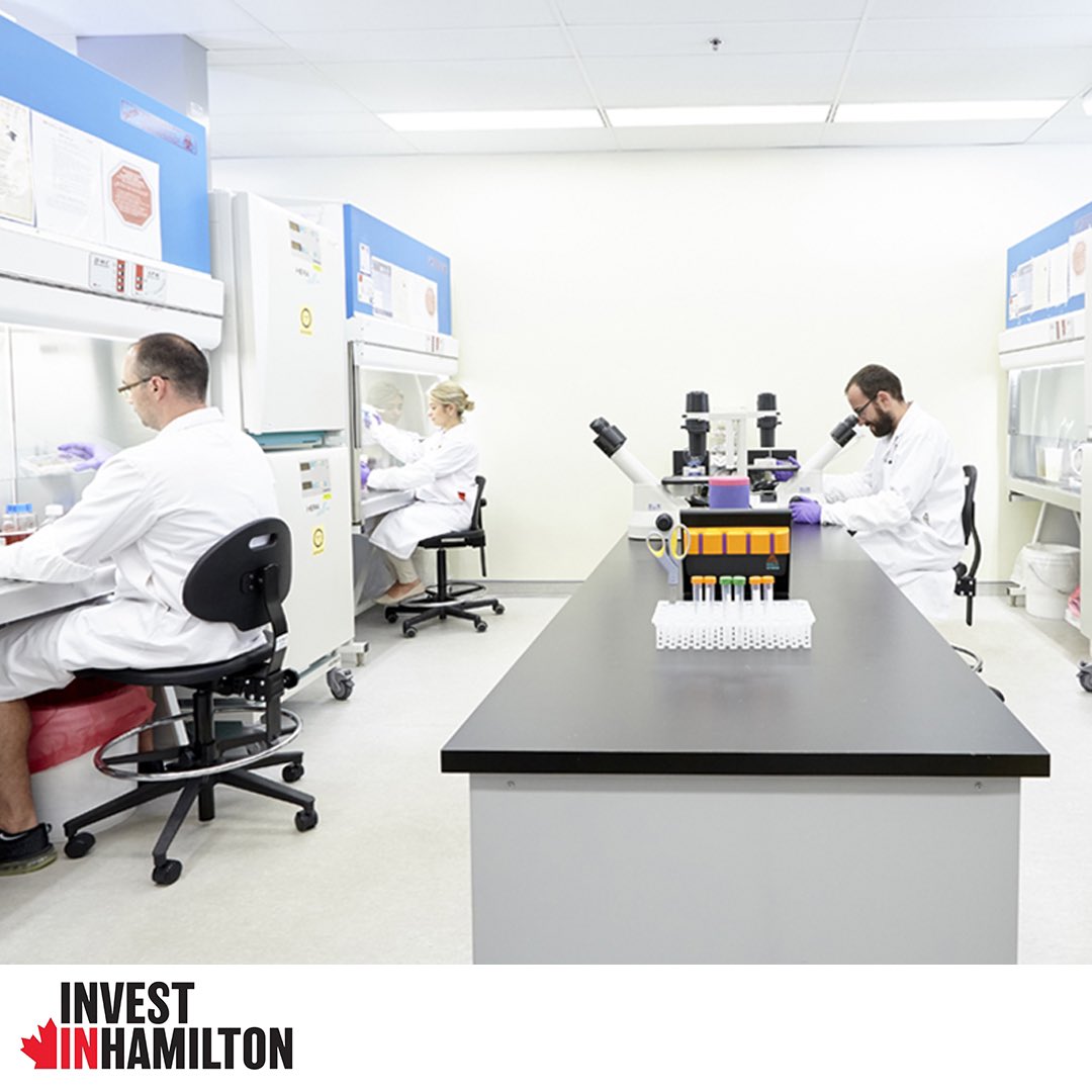 hamiltonecdev's tweet photo. Over the past few decades, #Hamilton has grown into an international leader for applied #health research. Recently, two Hamilton companies made significant moves that have accelerated the #growth of their businesses. Learn more:
https://t.co/mppXgpLd4C
#hamont #makeingmoves https://t.co/azFFsWcH79