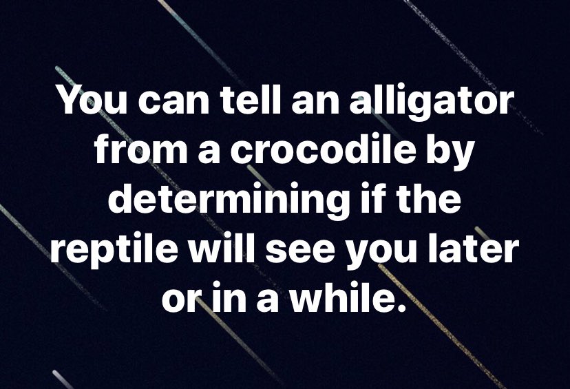 DigzFacts's tweet photo. Todayโs @VitaminThoughts @ThePodPMI #podfacts #digsfacts https://t.co/K956p3zada