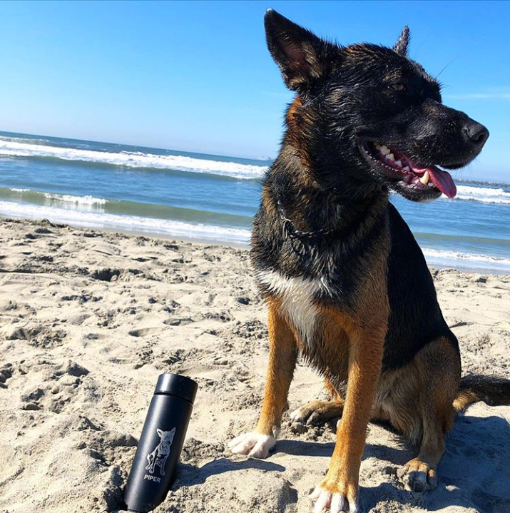 COBOBottle's tweet photo. "You’re never having too much fun to stay hydrated. @COBOBottle makes it easy by keeping my water cool all day" - cool customer with a four-legged bff in Oceanside, CA https://t.co/dHiT2fqg5x