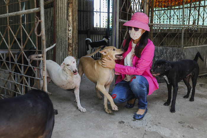 owlkids's tweet photo. COVID-19 has changed a lot about our lives. The same goes for animals, especially street dogs and cats in different countries.
Learn how @MoveTheWorld is taking care of animals during #COVID in our latest #OWLconnected post: https://t.co/1EB4KAkobj https://t.co/lVydaI5sYO