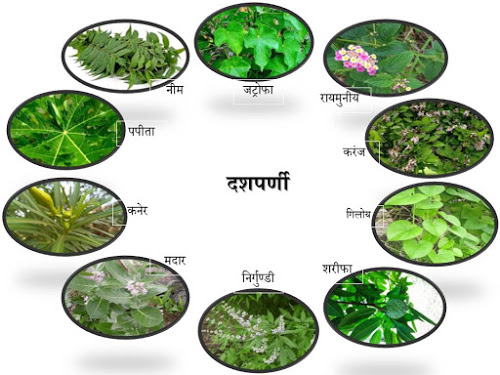 HelpKissan's tweet photo. https://t.co/ERDVuq63jX
Click om above link to know more about how to make bio pesticide at home.
#agriculture #agriculturalsustainability #farming #Farmers #agriculturebill #farmersmarket #FarmerStyle #SustainableDevelopment #organic #organicgardening https://t.co/xkGqC3s21E