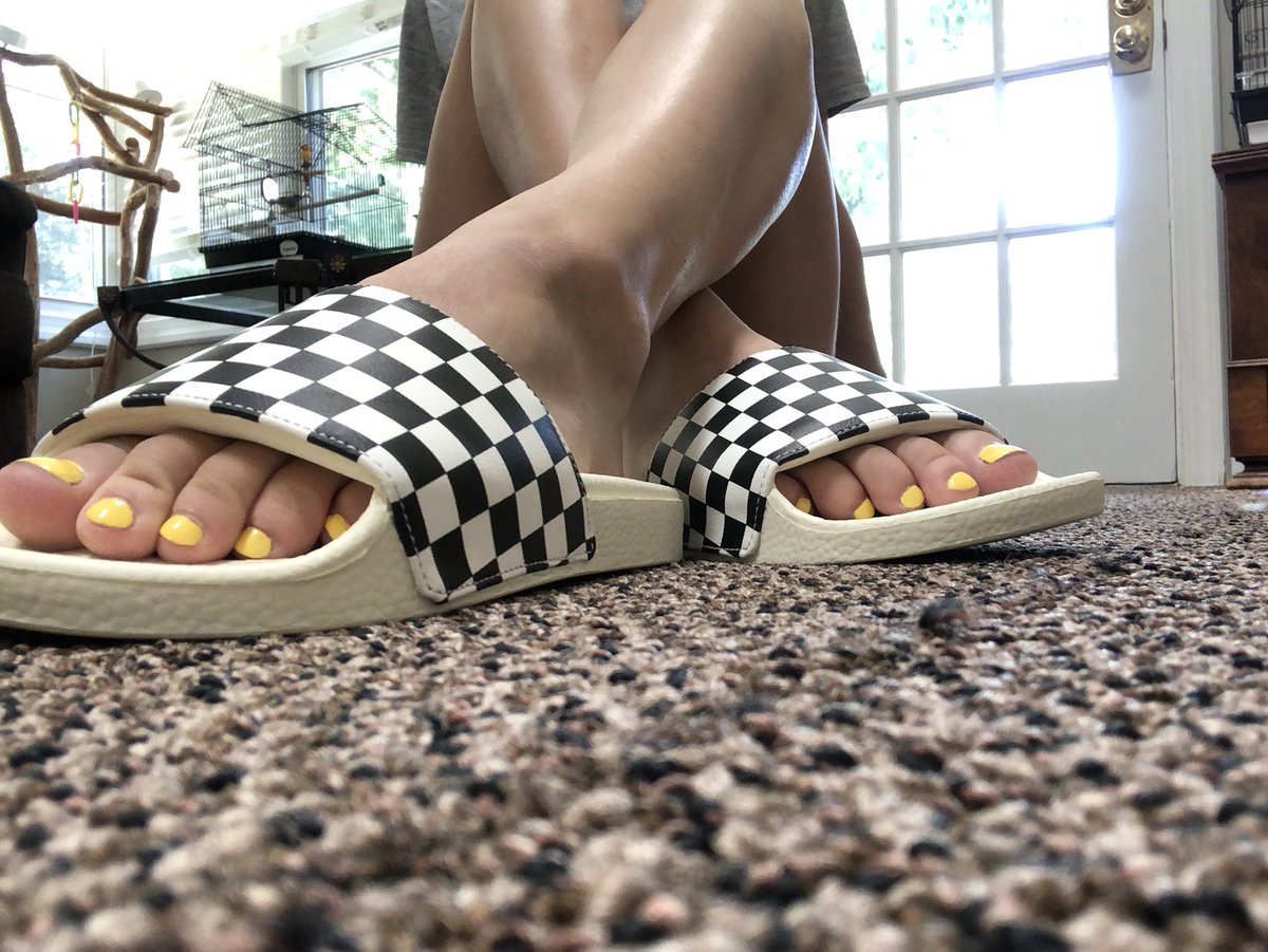 KBugSynowiec's tweet photo. Thanks #vansfamily for the surprise! Super cute and excited to wear. @VANS_66 It made my week! ☺️ https://t.co/htExbJw3lv