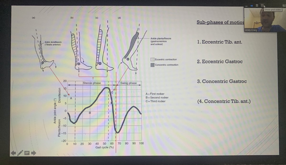 woodsy_simon's tweet image. Thanks also to @_AndyCraig_ for running through the complexities of ankle kinematics in our micro-BS (basic sciences!) session