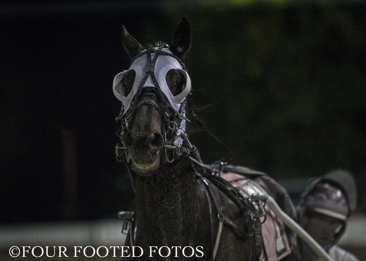 hoosiernations's tweet photo. Tonight @ClubHawthorne R7 Open "Rumble in ChiTown"
Illinois champ
pp10 #FoxValleyGemini/Casey Leonard

-vs-
Indiana invaders
pp4 #JetAirway/Todd Warren
pp5 #OnDuty/James Lackey
pp7 #CastleFlight/@kjwilfong91 
Who will win? 🍀GoodLuck🍀
@pbaez87 @juancanoracing @ascoleman77 https://t.co/sme24TJVYt