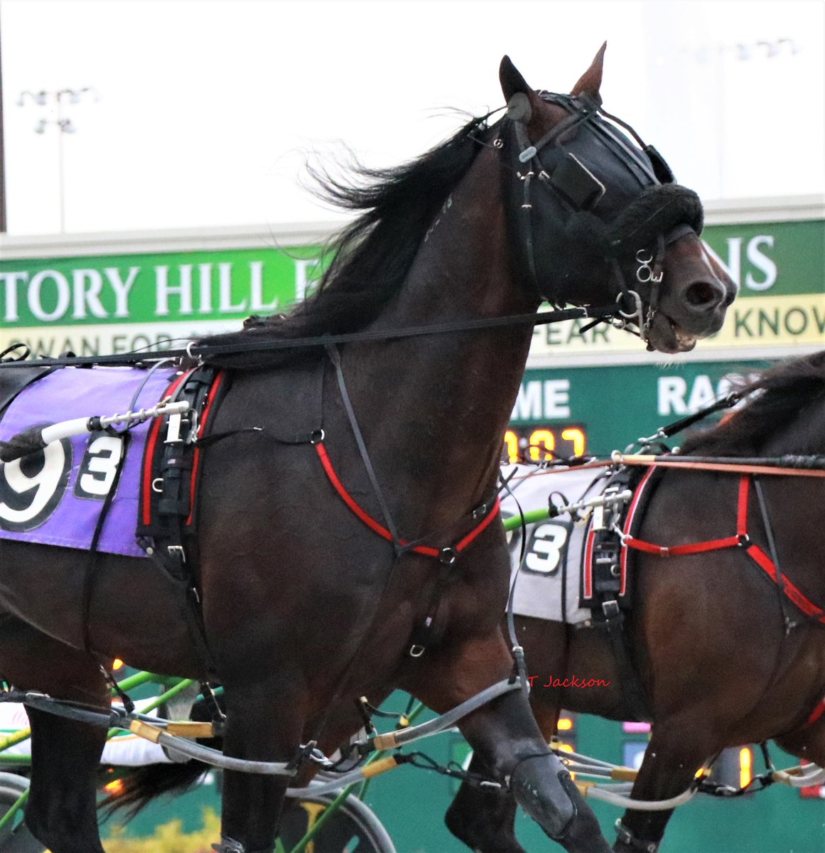 hoosiernations's tweet photo. Tonight @ClubHawthorne R7 Open "Rumble in ChiTown"
Illinois champ
pp10 #FoxValleyGemini/Casey Leonard

-vs-
Indiana invaders
pp4 #JetAirway/Todd Warren
pp5 #OnDuty/James Lackey
pp7 #CastleFlight/@kjwilfong91 
Who will win? 🍀GoodLuck🍀
@pbaez87 @juancanoracing @ascoleman77 https://t.co/sme24TJVYt