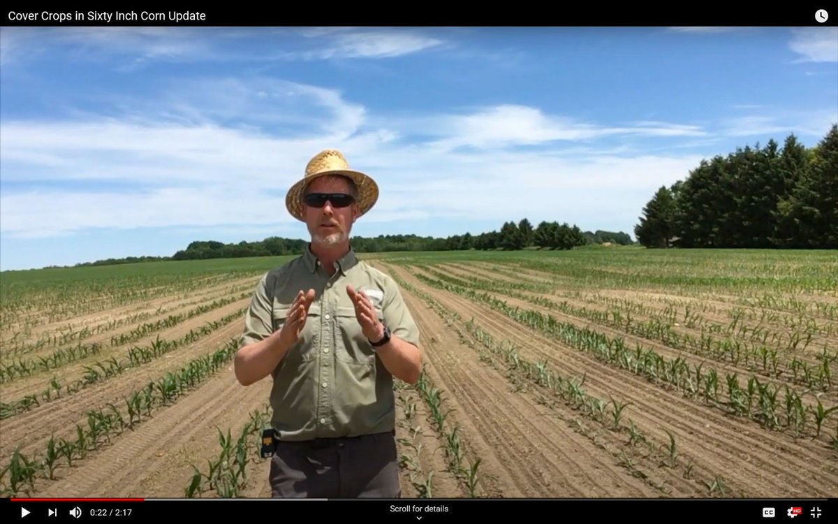 AusableBayfield's tweet photo. Certified Crop Advisor and Professional Agrologist Ross Wilson, of Ausable Bayfield Conservation, updates us on #covercrops and #60inchcorn in this trial south of Clinton, Ontario, Canada. Watch the video: https://t.co/QOt3CEJZ4E #healthylakehuron #landtolake #pieceofthepuzzle https://t.co/WUYpnxiqfn