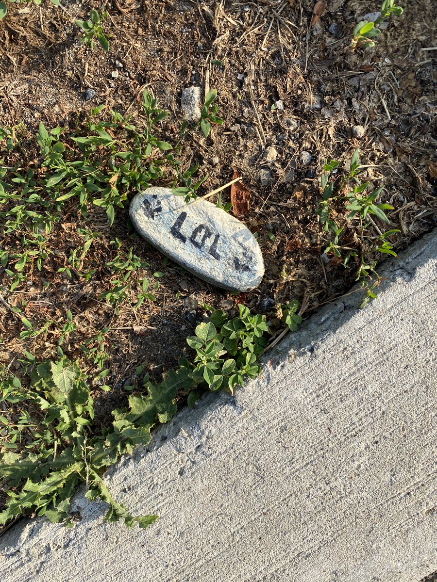 ottpak's tweet photo. It’s been awhile since I found a lot of #paintedrocks but came across this grouping in the burb behind Deer Run Park. #getoutside #dogwalk https://t.co/KyNY4fXsO6