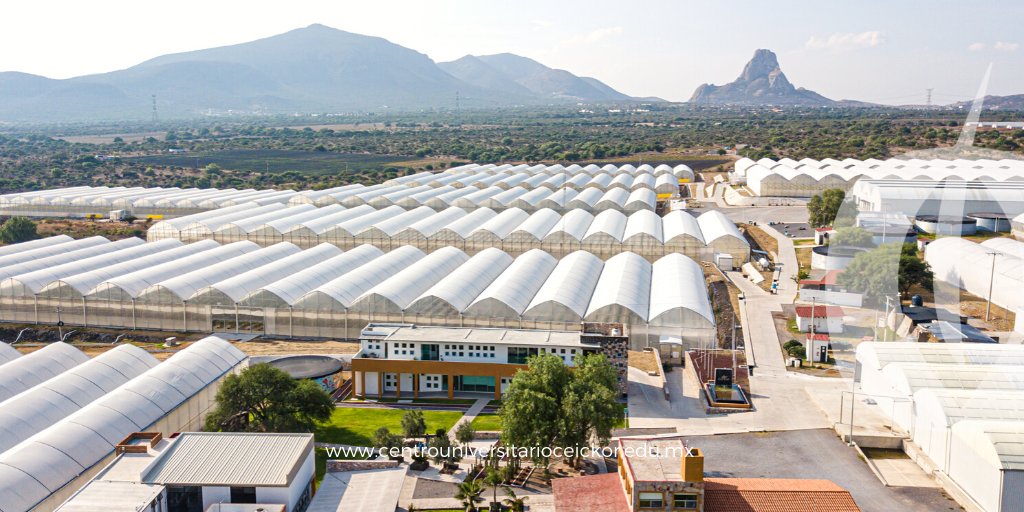 CEICKOR's tweet photo. 🌱¡Universidad especializada en agricultura protegida!
👇🏻¿Ya nos conoces?👇🏻
https://t.co/SqmnkXcN9I
#universidadceickor #ceickor #agriculturaprotegida #aprenderhaciendo https://t.co/teNXhrSTv0