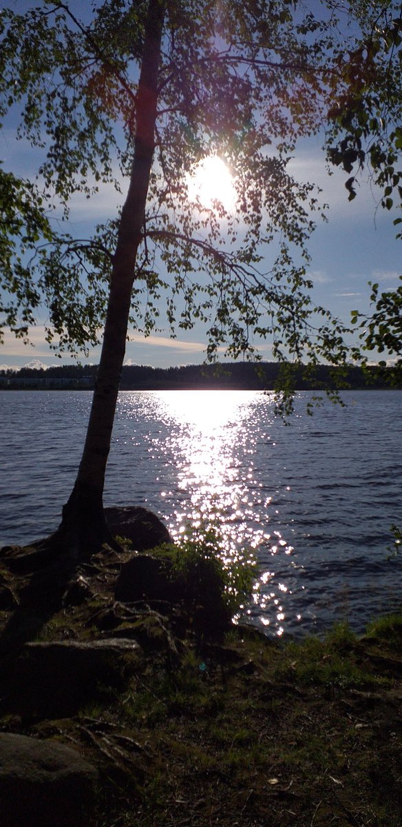 TuijaHauvala's tweet photo. Kesä 💚 #illat #auringonsäteet #luonto #heinäkuu2020 https://t.co/F7lxZF7Fxe
