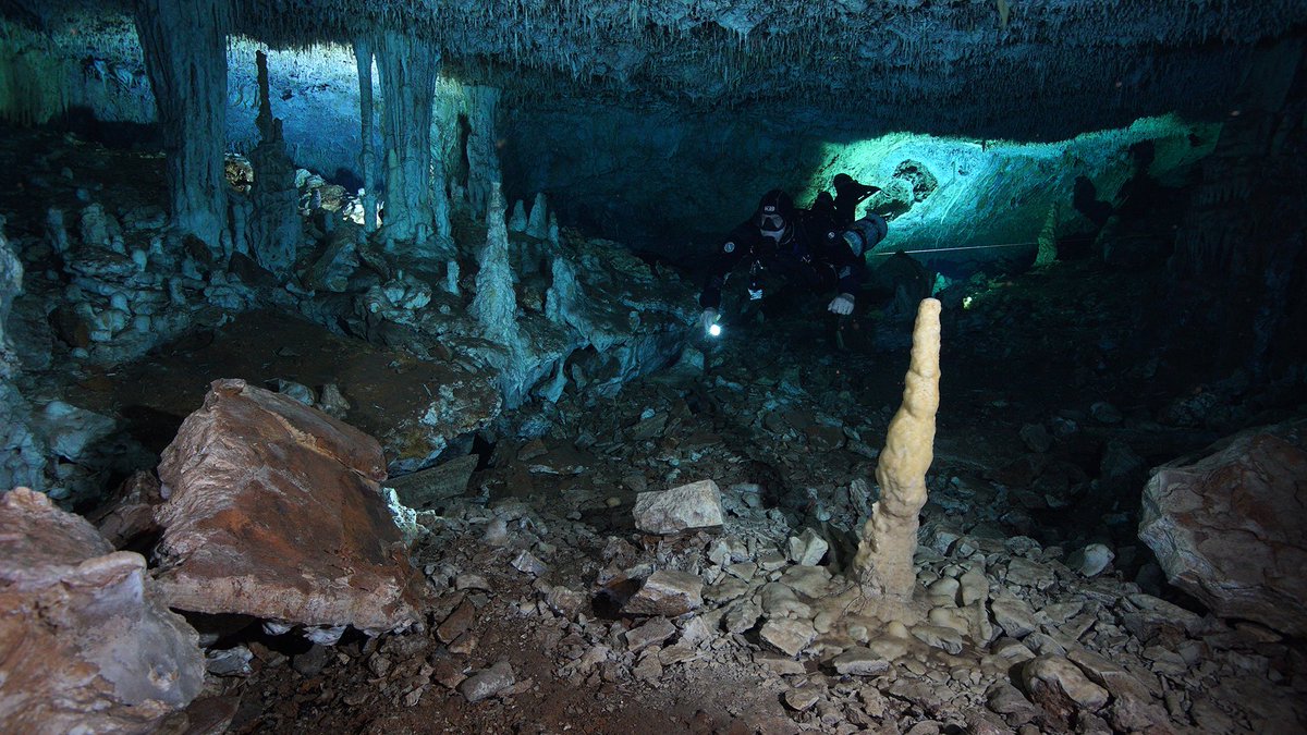 Descubren en Yucatán una cueva sumergida con los restos de una civilización 8.000 años anterior a los Mayas es.gizmodo.com/descubren-en-y…