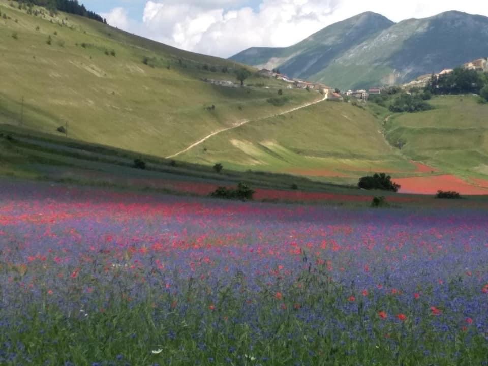 Umbria Tourism tweet media