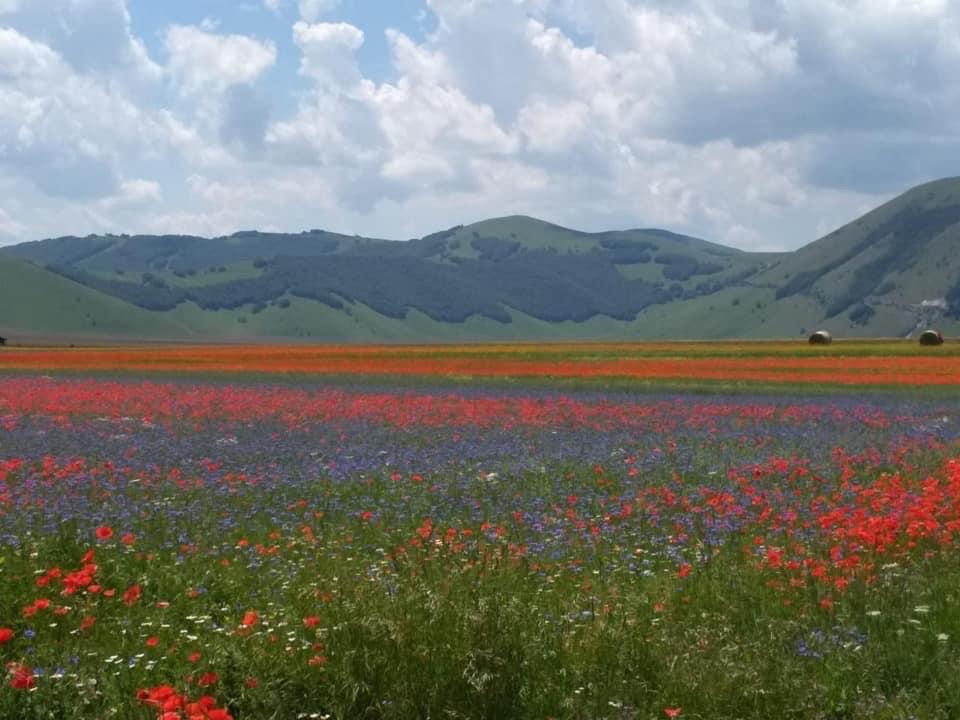Umbria Tourism tweet media