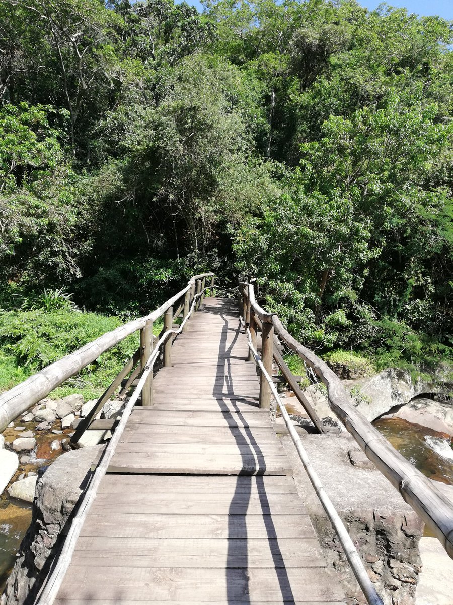 NishyWezSyd's tweet photo. @MTNza @HuaweiZA Paradise Valley, trees πππππ@MTNza @HuaweiZA #Challenge10 #LOCKDOWN #YourPulse #MTNPulse #HuaweiP40Lite #CaptureYourPulseΒ #WeGoodTogether #EverywhereYouGo #WeGotU #WIN #FingersCrossed https://t.co/EtDCyt9AvW