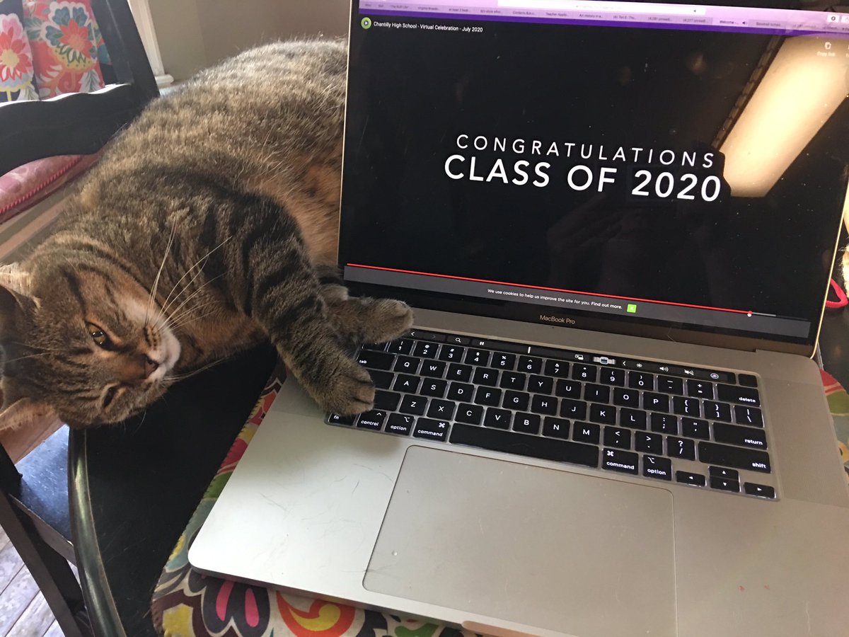 ThomasArtsEd's tweet photo. Congrats seniors @Chantilly_HS Stanley and I are sooo excited for you and all yet to come 🎉 #chantillypride #Graduation2020 https://t.co/5IKqyoHYAD