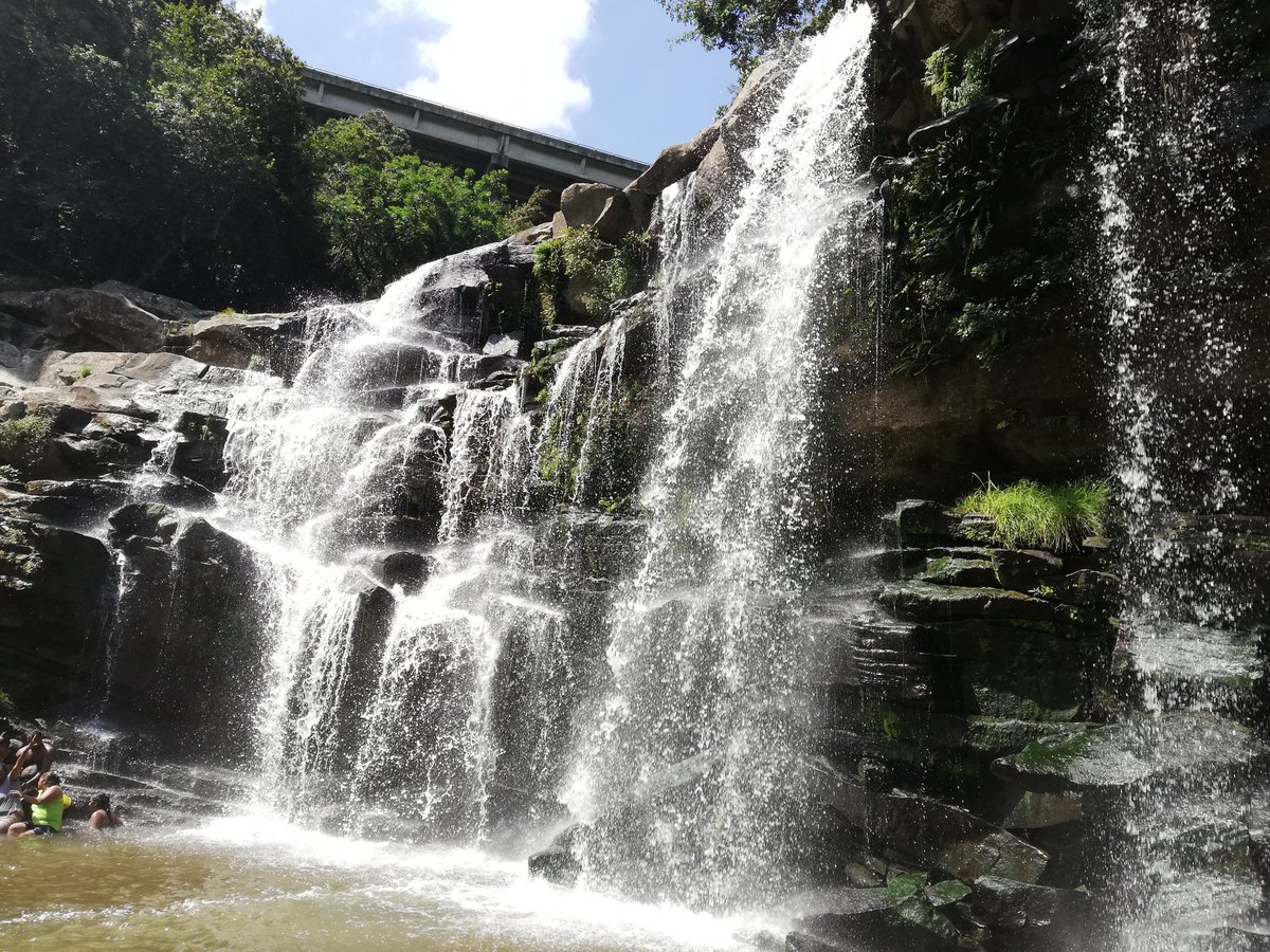 NishyWezSyd's tweet photo. @MTNza @HuaweiZA Paradise Valley, trees πππππ@MTNza @HuaweiZA #Challenge10 #LOCKDOWN #YourPulse #MTNPulse #HuaweiP40Lite #CaptureYourPulseΒ #WeGoodTogether #EverywhereYouGo #WeGotU #WIN #FingersCrossed https://t.co/EtDCyt9AvW