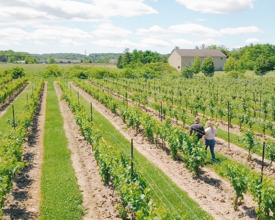 We’re strolling into the weekend enjoying what Mother Nature is giving us! 

Just a reminder that as the weather continues to heat up so do the bookings for wine tours! If you’re thinking about coming down be sure to plan ahead as we’re starting to fill up, especially on th