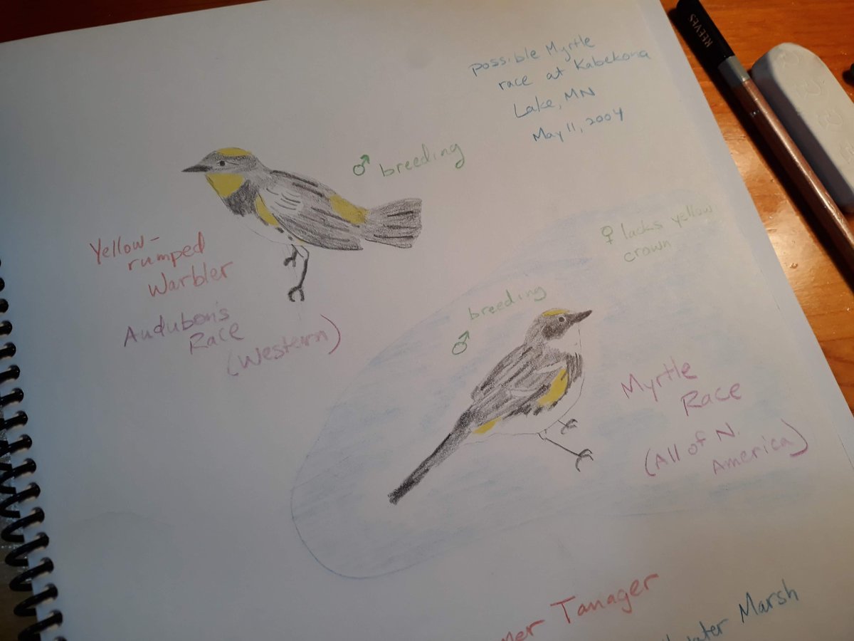 The first week of Nature Journaling with the REACH Museum may be over but that doesn't mean you can't still join the fun!⁠
⁠
Registration is open till July 10 and available online at the REACH Website. Just head over to visitthereach.org/education/educ…