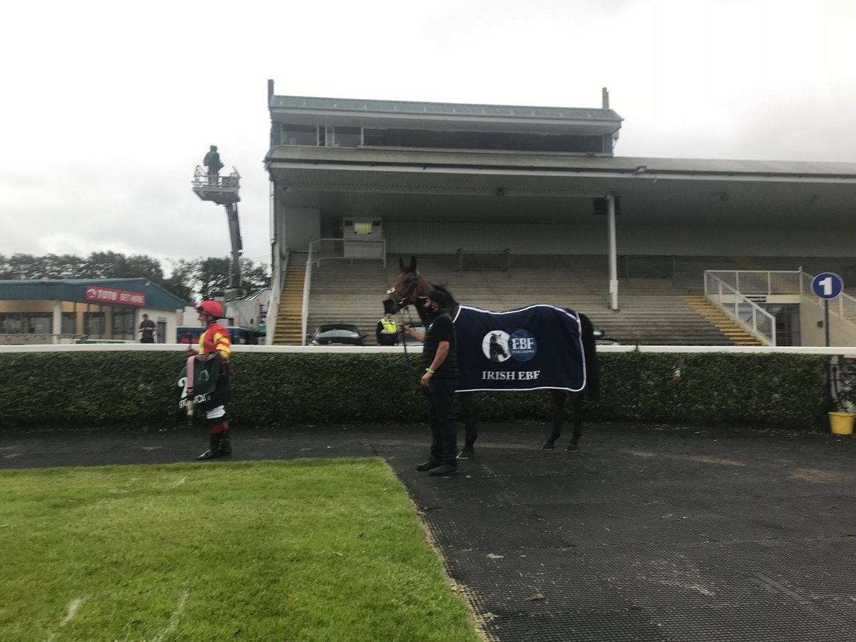 Patrick Sarsfield wins ⁦@IrishEBF_⁩ ⁦@NavanRacecourse⁩ ⁦@JosephOBrien2⁩ ⁦@HRIRacing⁩ ⁦@HRIOwners⁩ ⁦@declanmcdonogh⁩