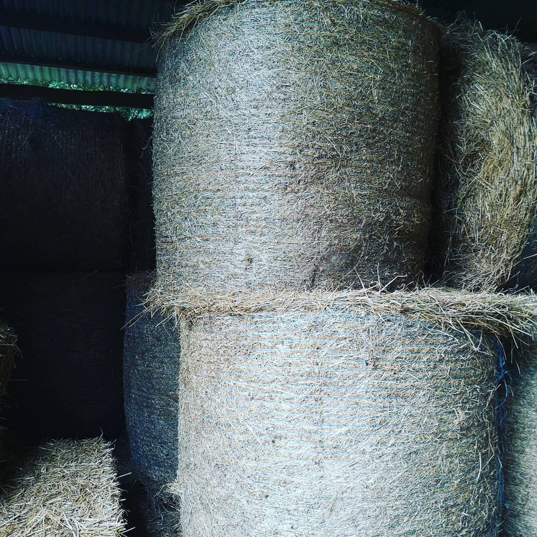 July and its raining... Again!
But thats OK, its still nice and cosy in the hut!
Even better because the hay crop for this year is stored safely in the barn!
🌾😊☔🌂👍🌧️
#shortstays
#explore
#staycation
#weekendaway
#hideaway
#farmstays
#ramblerswalkingholidays
#cyclingholidays