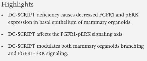 Dev_Bio_Journal's tweet photo. #DBteaser #DBfeatures #DevBio #organoids
"DC-SCRIPT affects mammary organoids branching morphogenesis by modulating the FGFR1-pERK signaling axis" by Chunling Tang, et al. July 15 (2020).
Read it here -> https://t.co/OJGEEL8dyQ https://t.co/saN8uMwEOe