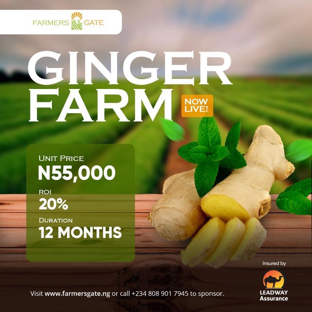 iamseunalaofin's tweet photo. to my families and friends celebrating #WorldBillionairesDay2020 i want you to remember that #FarmersGate is still selling their units at the rate of 55,000 with 20% profit. 

Retain your Billionaire rights and Invest with us now 
https://t.co/AS2INYBUMA https://t.co/V0O9Gdnj8q