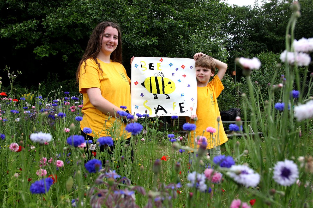 BuzzbeeNature's tweet photo. Bee Safe, kick start activity for children during the Summer Holidays, learning about nature at the Nature Garden and general walks #beesafe #bees #butterflies #nature #naturegroup #naturegarden #children #Norwich #Norfolk #NR1 #wildlife #summer #summerholidays #daysout #learn https://t.co/mi1xm5sixr