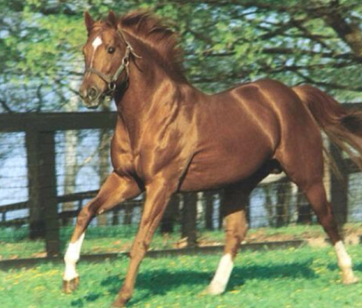 ...beautiful horse deserves a monument, and a sculpture of Secretariat, riderless and roaming in a green Virginia field, would be the truly prefect replacement for Stuart and his pony.Thank you for reading — and thank you, Richmond, for the way you are becoming now.