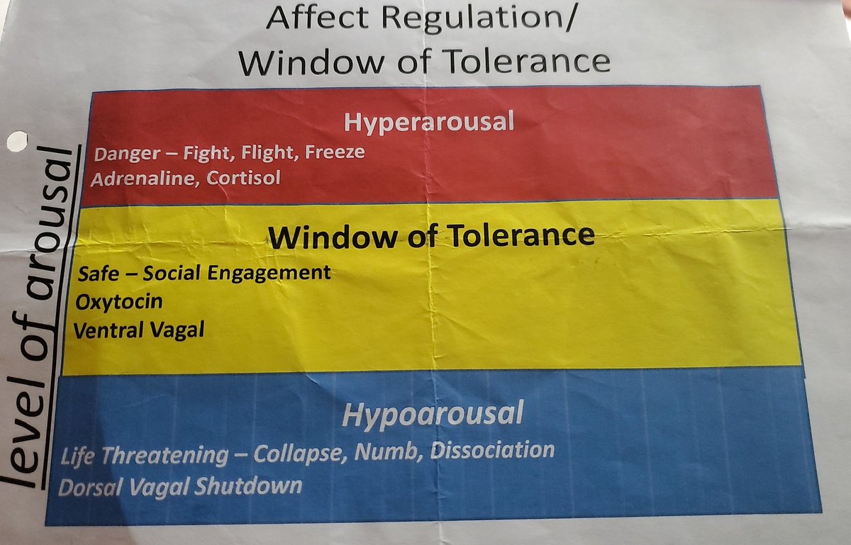 Going to post more specific coping mechanisms for different responses, but here's a handy visual for identifying how you are responding this constant stress and risk of violence/death