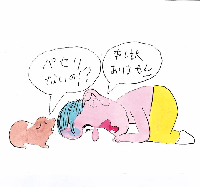 売り切れてたの 