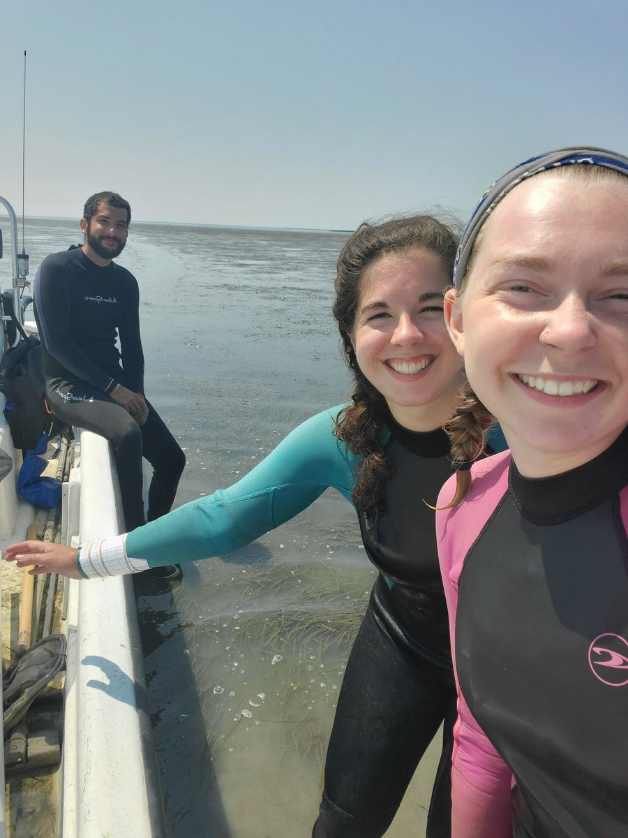 KE_Granville's tweet photo. Our (self-named) Team Epi-Fight is stuck at low tide on our way to the last site of synoptic! We had a great week of counting #seagrass, collecting #epifauna, and sampling seafloor sediment.
@vcrlter @BergLabUVA @marionmck_ @uvaevsc https://t.co/x1DLBGYJre