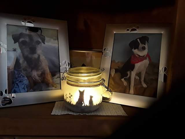 #SirSebSendOff Brandy and Fruzbee are lighting your way Seb they and your pals are waiting xx